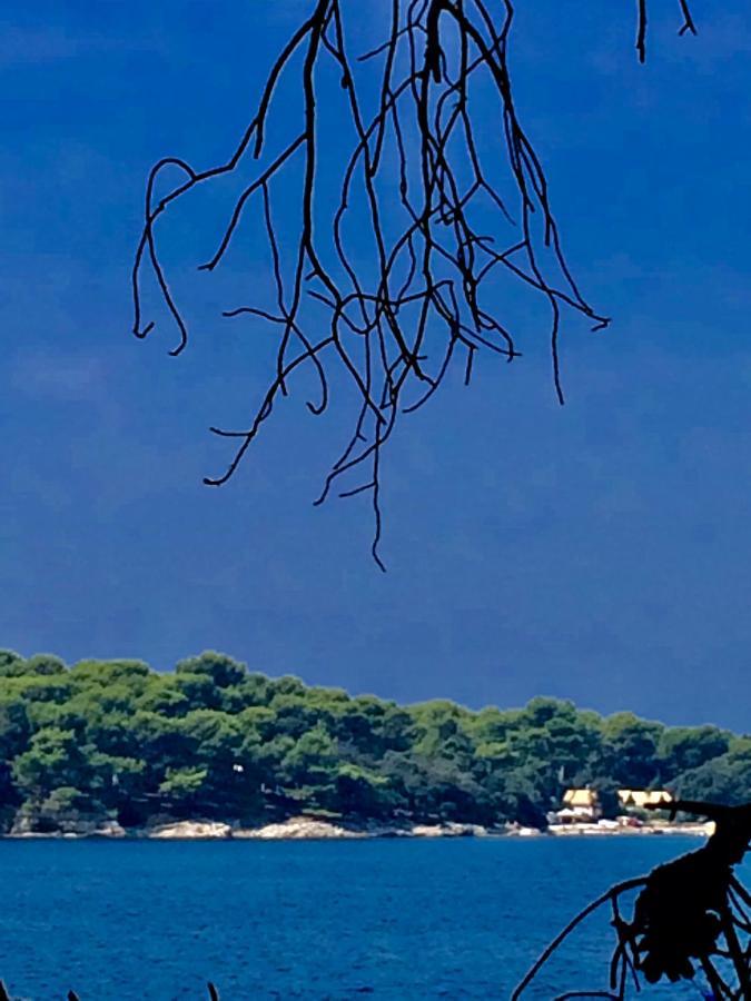 In The Center & Nice & Quiet 普拉 外观 照片
